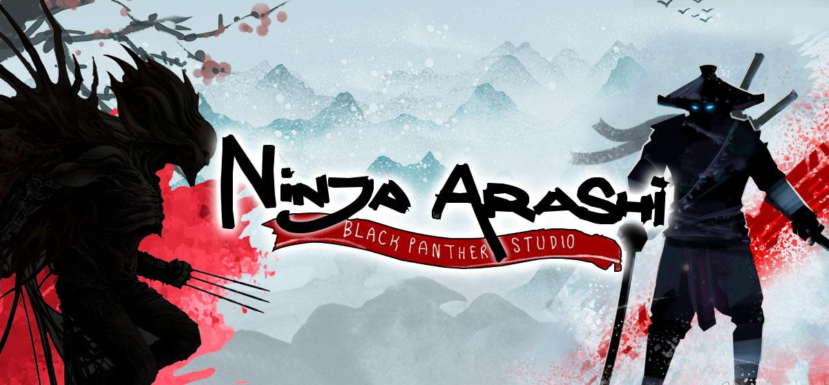 Ninja Arashi